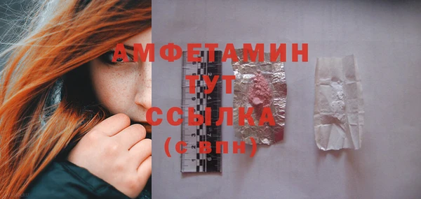 амф Пестово