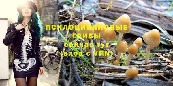мяу мяу мука Переславль-Залесский