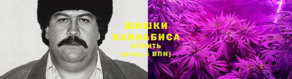амф Пестово