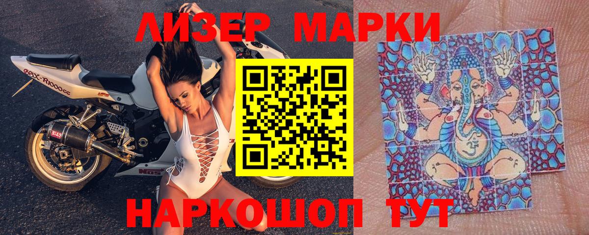 Псилоцибиновые грибы Кропоткин