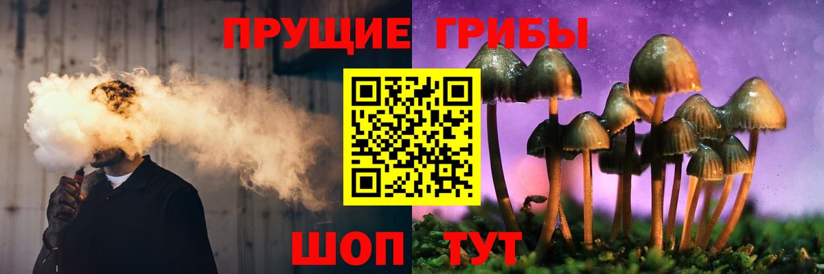 Кропоткин  Галлюциногенные грибы Psilocybe  Вход с VPN  Псилоцибиновые грибы GOLDEN TEACHER 
